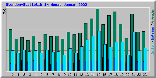 Stunden-Statistik im Monat Januar 2022