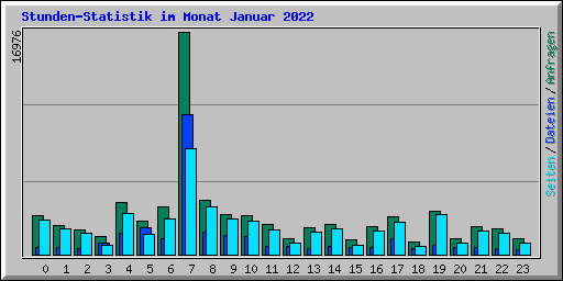 Stunden-Statistik im Monat Januar 2022