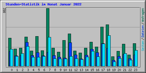 Stunden-Statistik im Monat Januar 2022