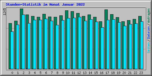 Stunden-Statistik im Monat Januar 2022