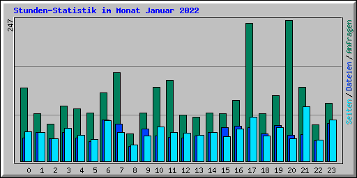 Stunden-Statistik im Monat Januar 2022
